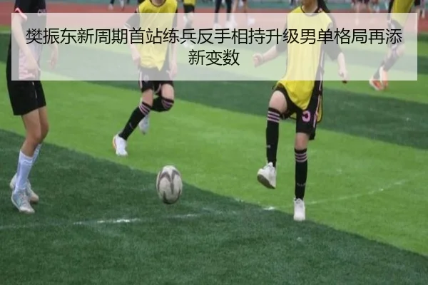 樊振东新周期首站练兵反手相持升级男单格局再添新变数