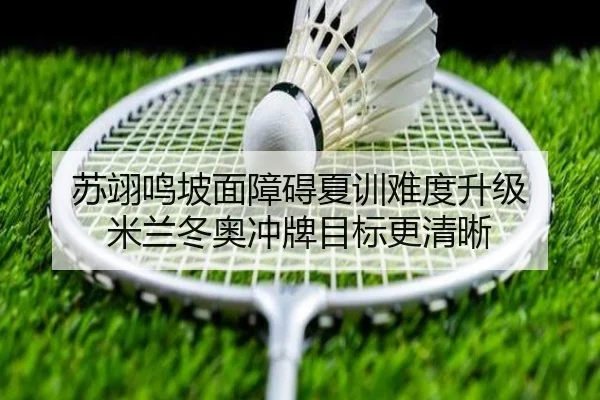苏翊鸣坡面障碍夏训难度升级 米兰冬奥冲牌目标更清晰