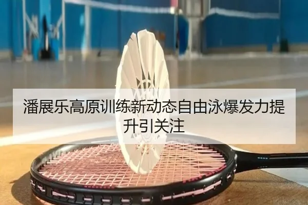 潘展乐高原训练新动态自由泳爆发力提升引关注